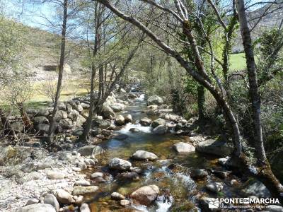 Cerezos en flor en el Valle del Jerte - agua viaje aventura;pueblos de españa san sebastian de los 